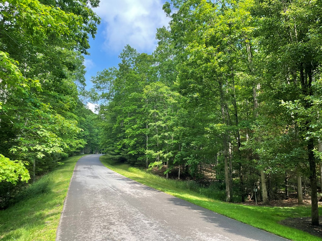 Saddlebrooke Ln, Daniels, West Virginia image 5