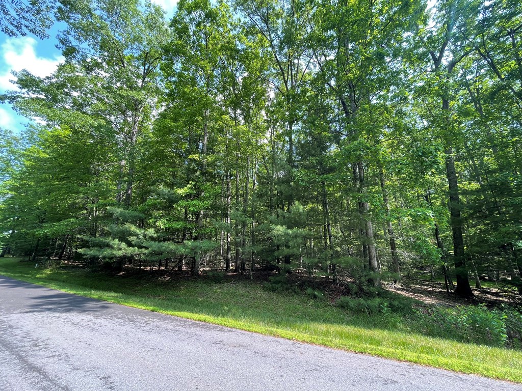 Saddlebrooke Ln, Daniels, West Virginia image 6