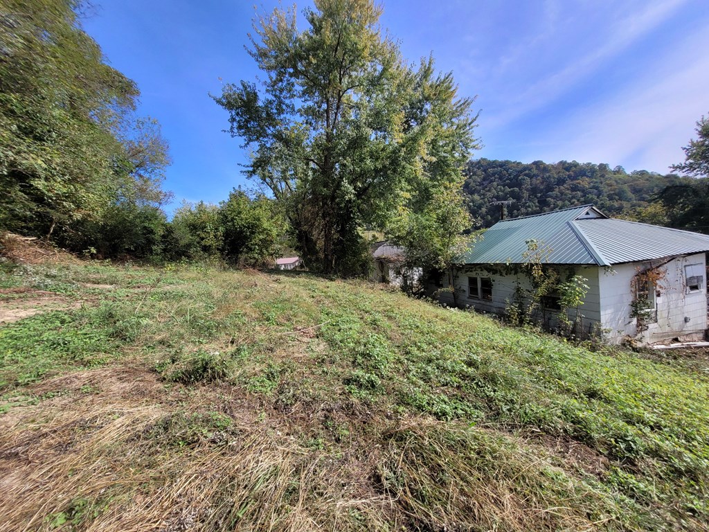 261 Other, Gauley Bridge, West Virginia image 6