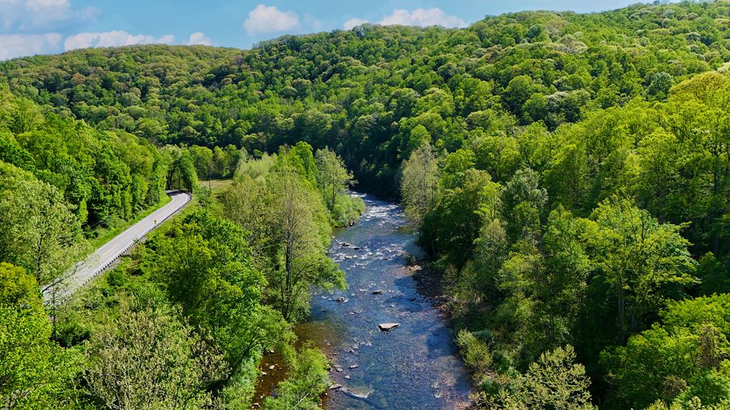 7499 Richwood Road, Fenwick, West Virginia image 14