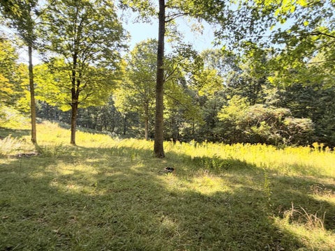 Vacant Land For Sale - Keeney Mountain Road<br/> Sandstone, WV 25985