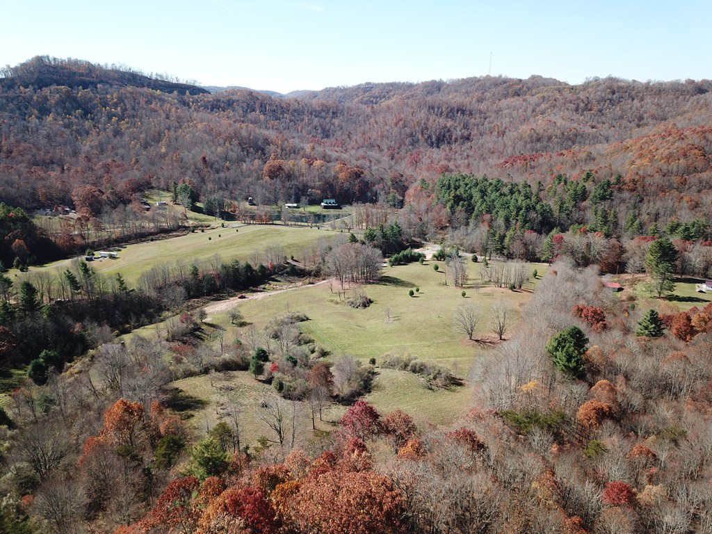 Cold Hollow Road, Rainelle, West Virginia image 27