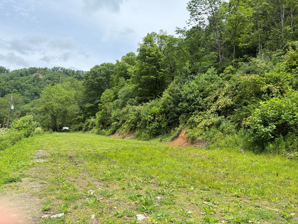 20 3rd Hill Street, Itmann, West Virginia image 22
