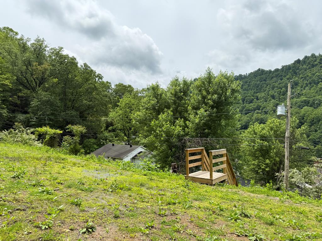 20 3rd Hill Street, Itmann, West Virginia image 16