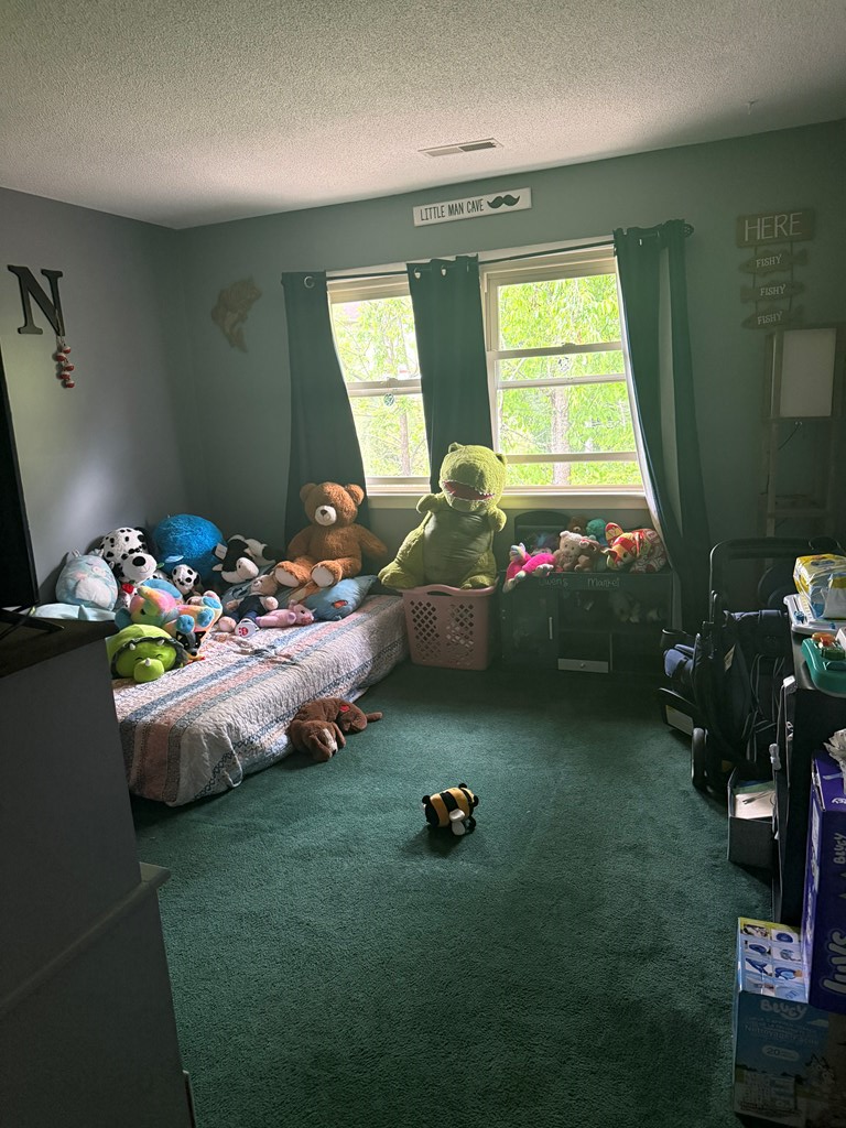 352 Lewis Drive, Daniels, West Virginia image 19