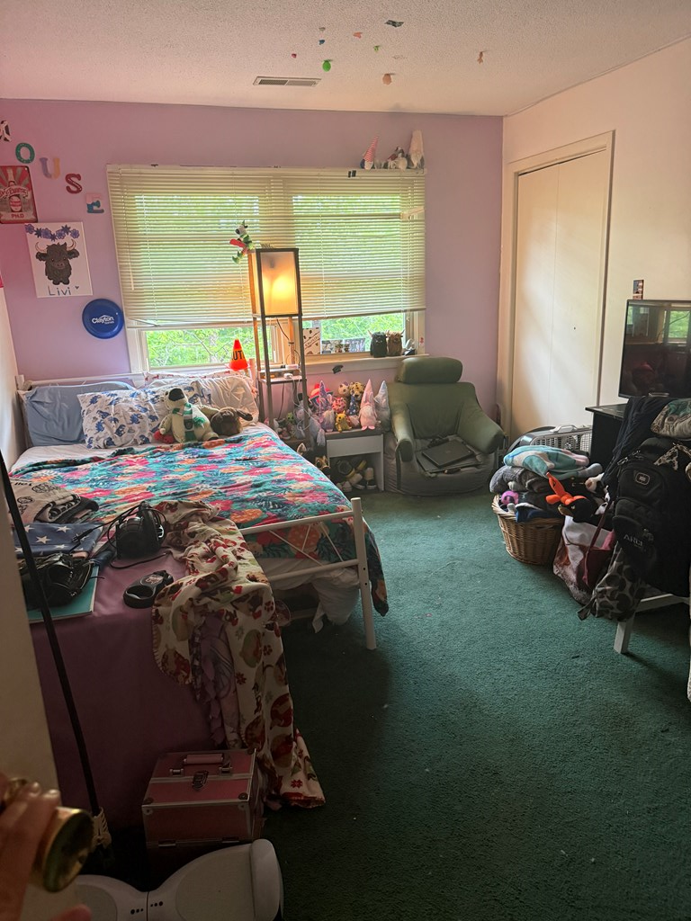 352 Lewis Drive, Daniels, West Virginia image 18
