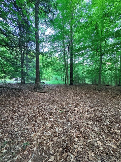 Vacant Land For Sale - Ledgeview Dr<br/> Fayetteville, WV 25840