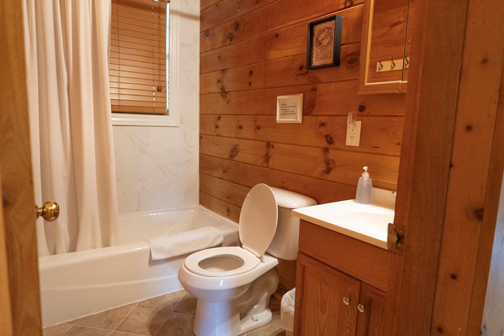483 Mallard Rd, Hico, West Virginia image 12
