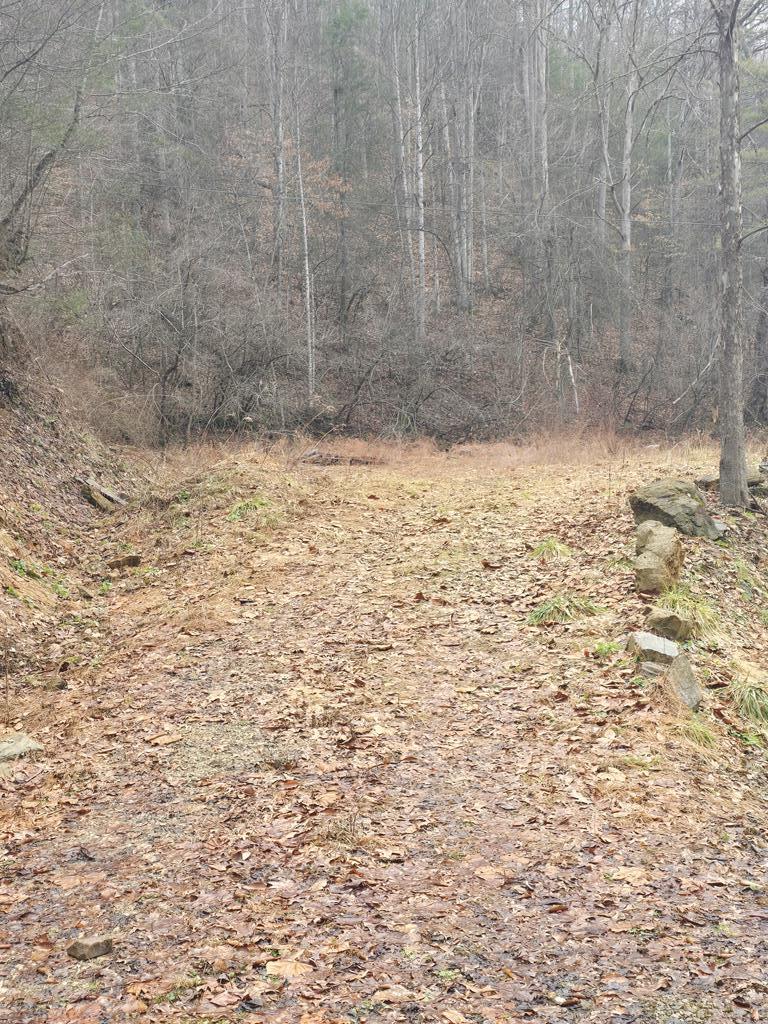 3279 Appalachian Hwy, Rock View, West Virginia image 26