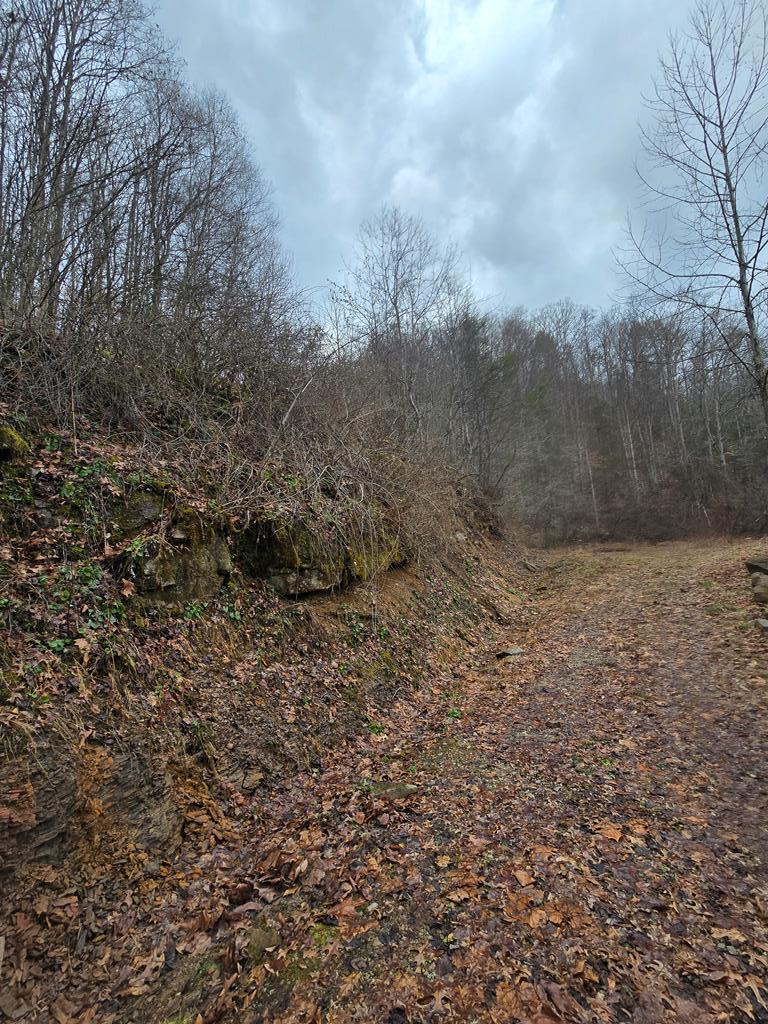 3279 Appalachian Hwy, Rock View, West Virginia image 27