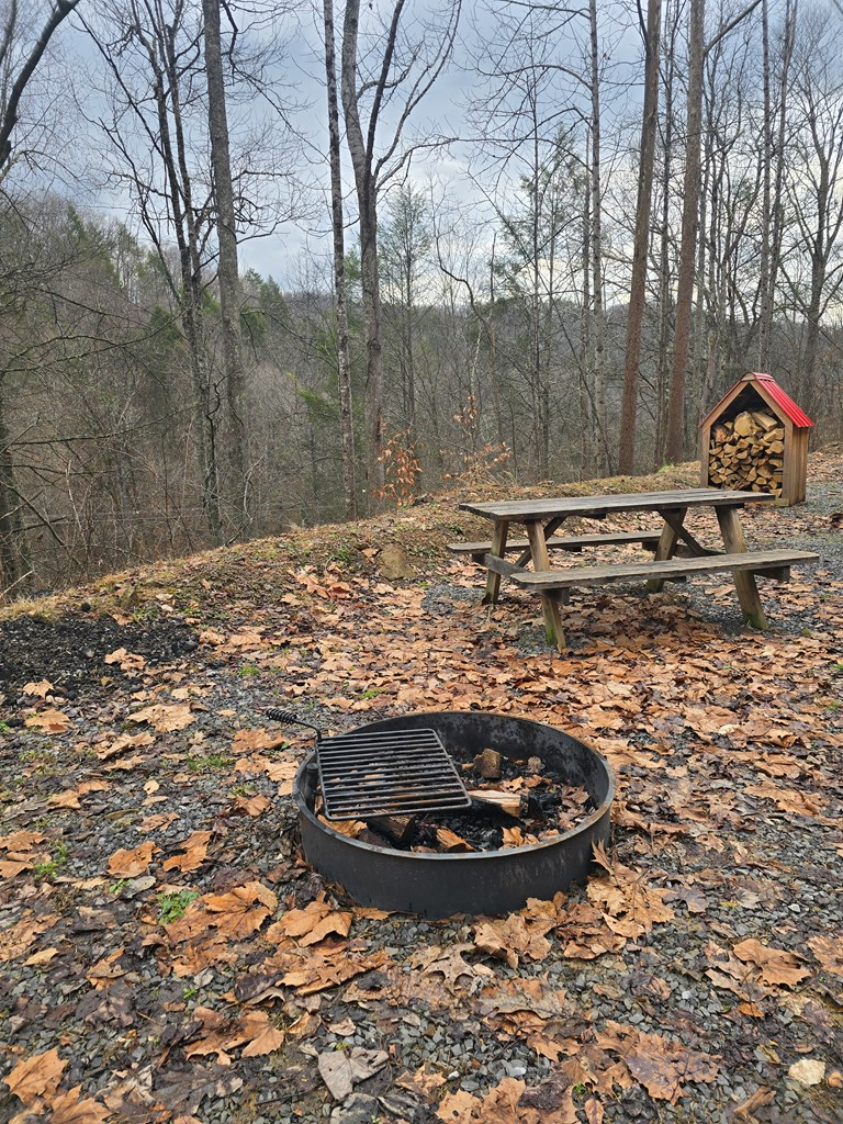 3279 Appalachian Hwy, Rock View, West Virginia image 4