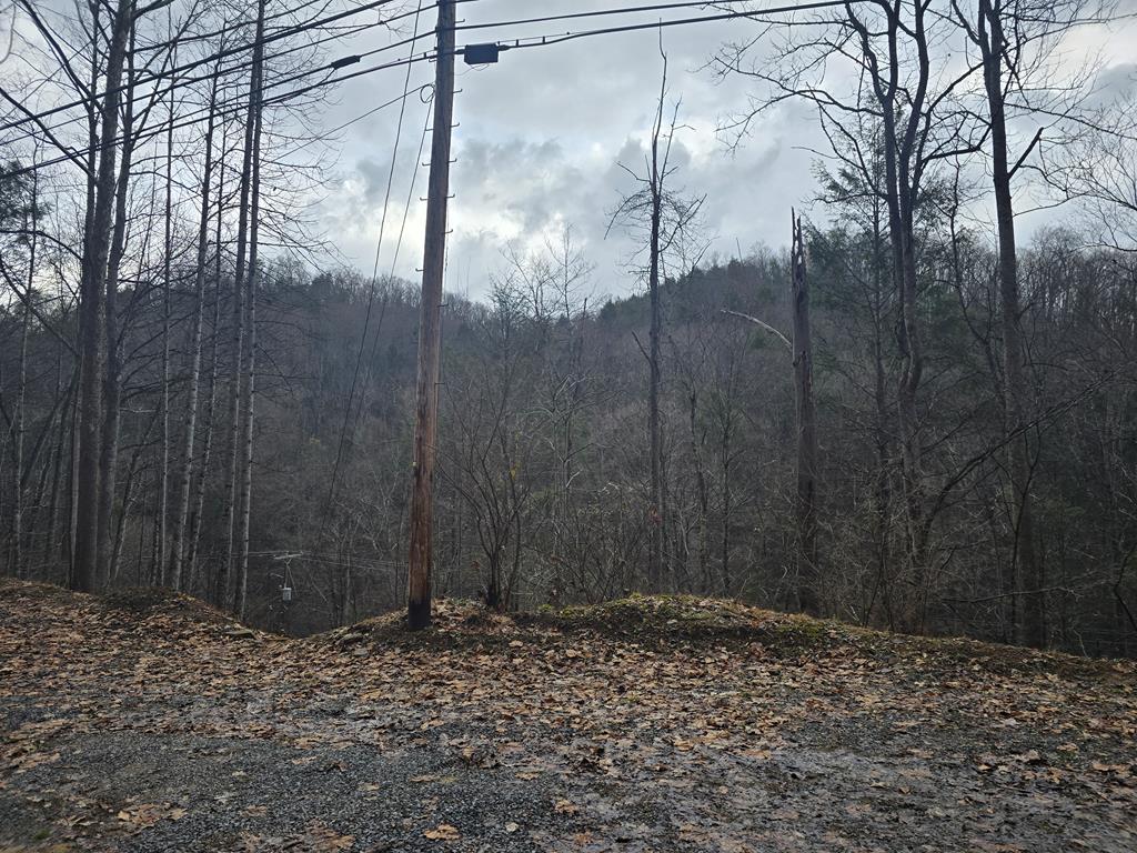 3279 Appalachian Hwy, Rock View, West Virginia image 25