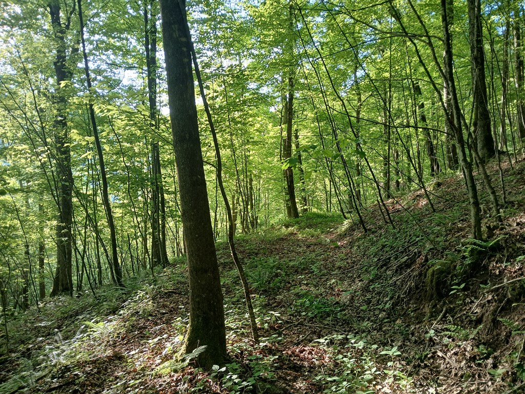 James River & Kanawha Turnpike, Rainelle, West Virginia image 31