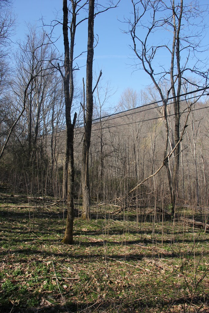 James River & Kanawha Turnpike, Rainelle, West Virginia image 12