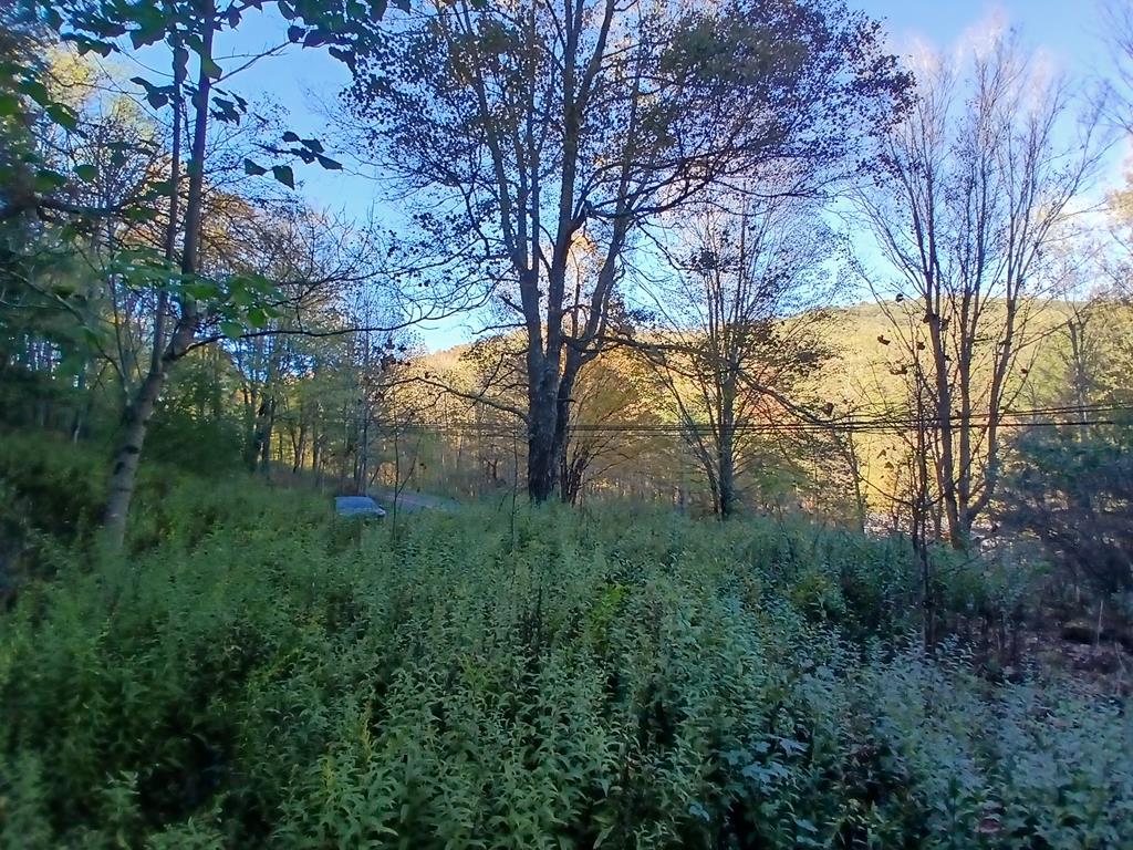 James River & Kanawha Turnpike, Rainelle, West Virginia image 21