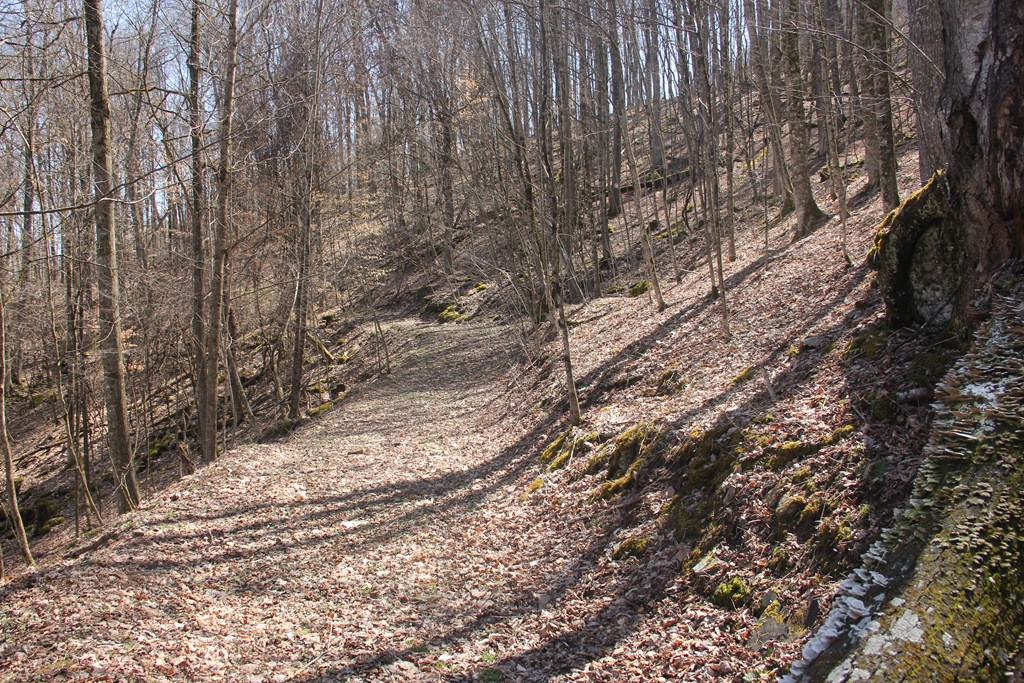 James River & Kanawha Turnpike, Rainelle, West Virginia image 5