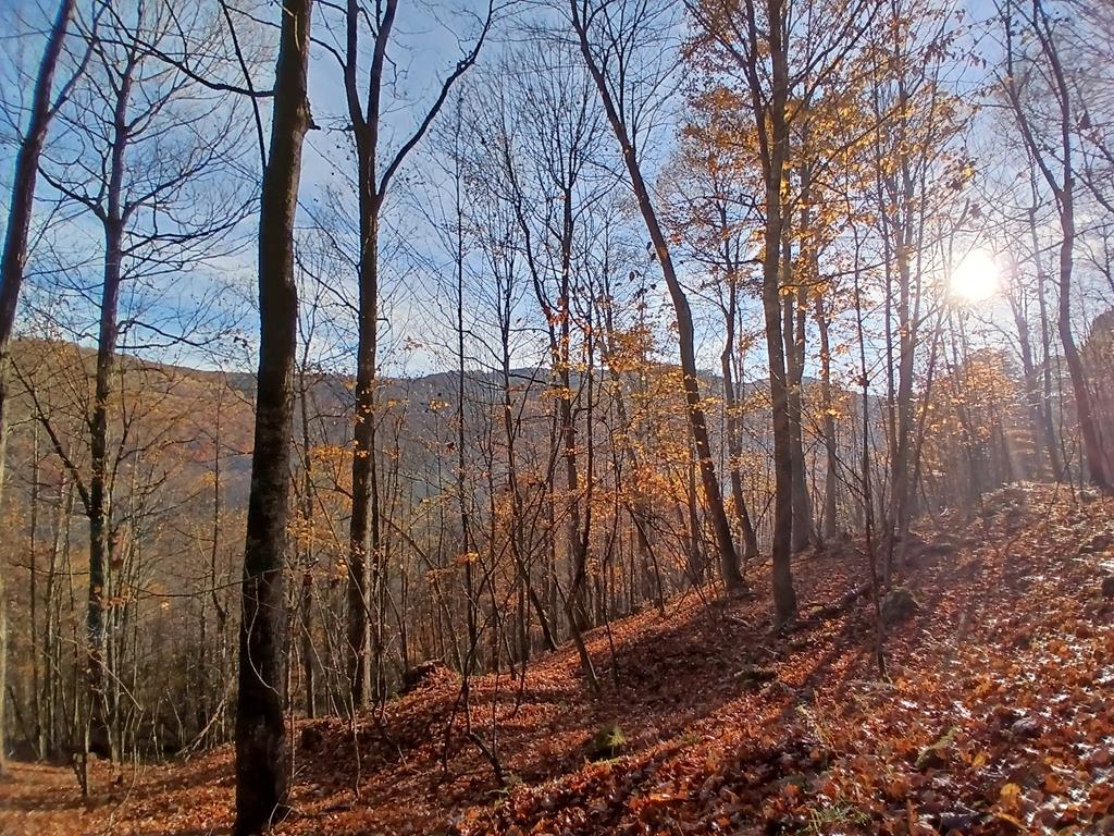James River & Kanawha Turnpike, Rainelle, West Virginia image 24