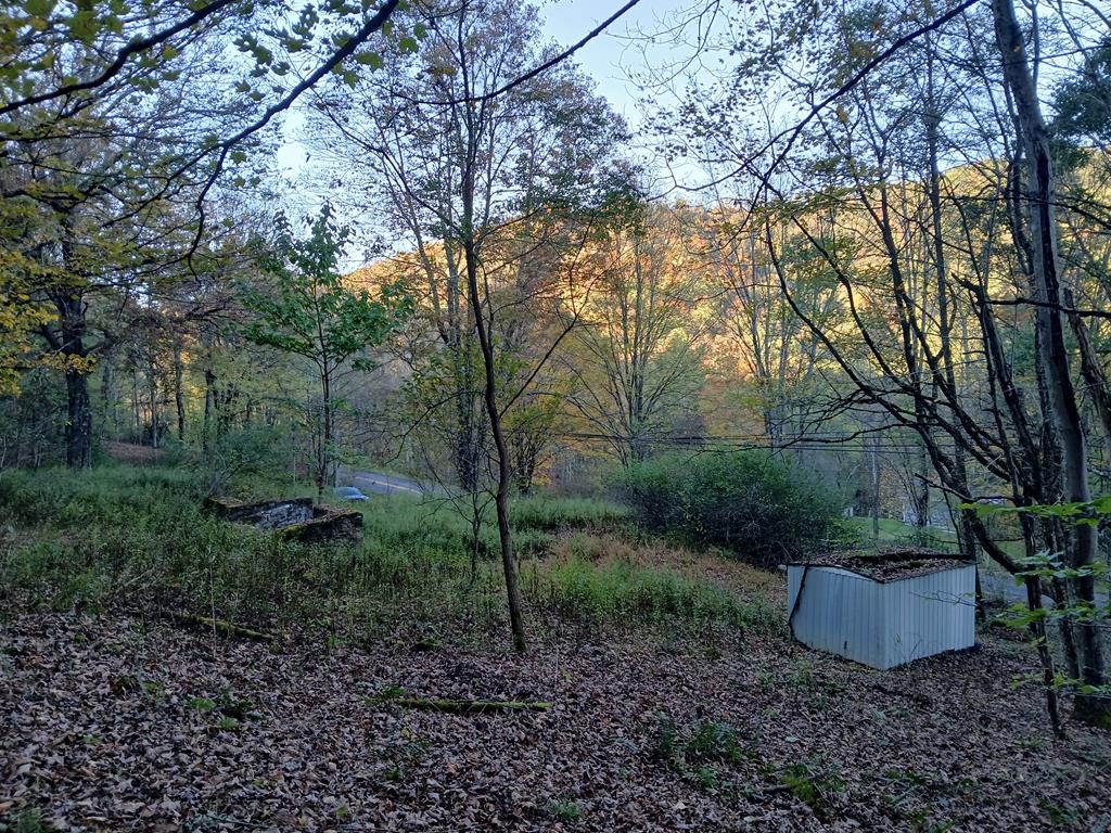 James River & Kanawha Turnpike, Rainelle, West Virginia image 22