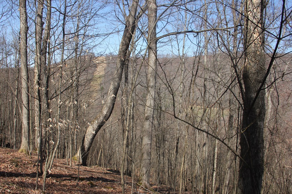 James River & Kanawha Turnpike, Rainelle, West Virginia image 6