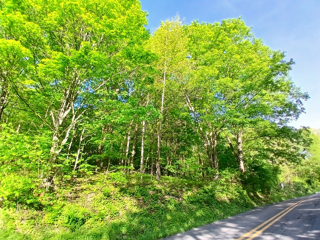 James River & Kanawha Turnpike, Rainelle, West Virginia image 33