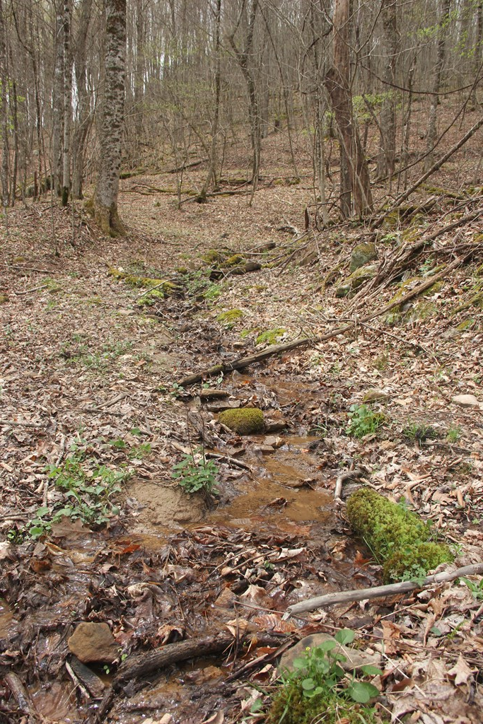 James River & Kanawha Turnpike, Rainelle, West Virginia image 15