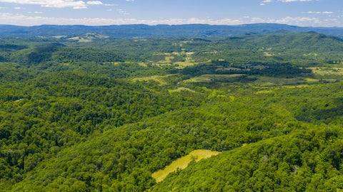 Vacant Land For Sale - 2673 Raines Rd<br/> Wolfcreek, WV 24983