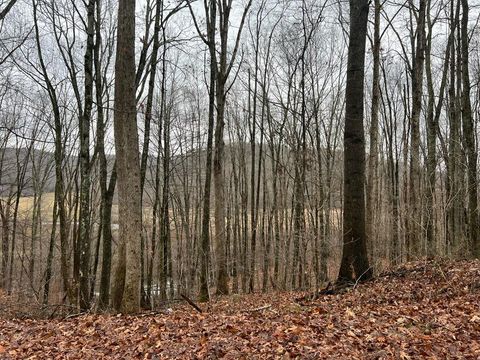 Homes For Sale - Wildcat Hill Road<br/> Gap Mills, WV 24941