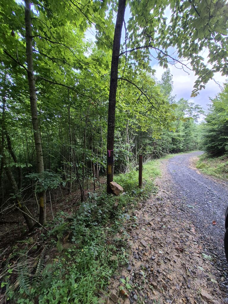 6300 Hurricane Ridge Rd - Photo 4