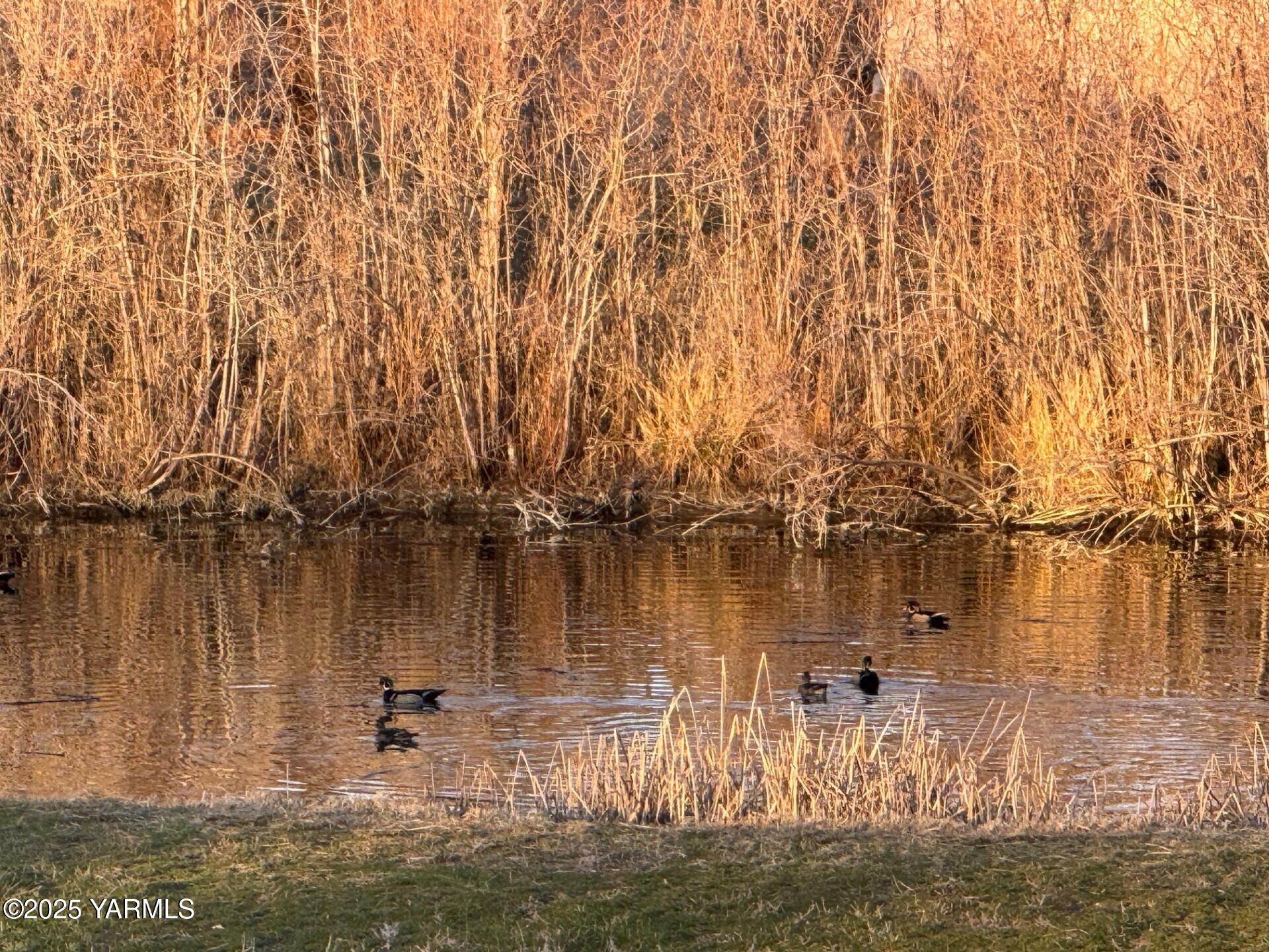 Selah, Washington 98942, United States, 4 Bedrooms Bedrooms, ,3 BathroomsBathrooms,Residential,Active,154909