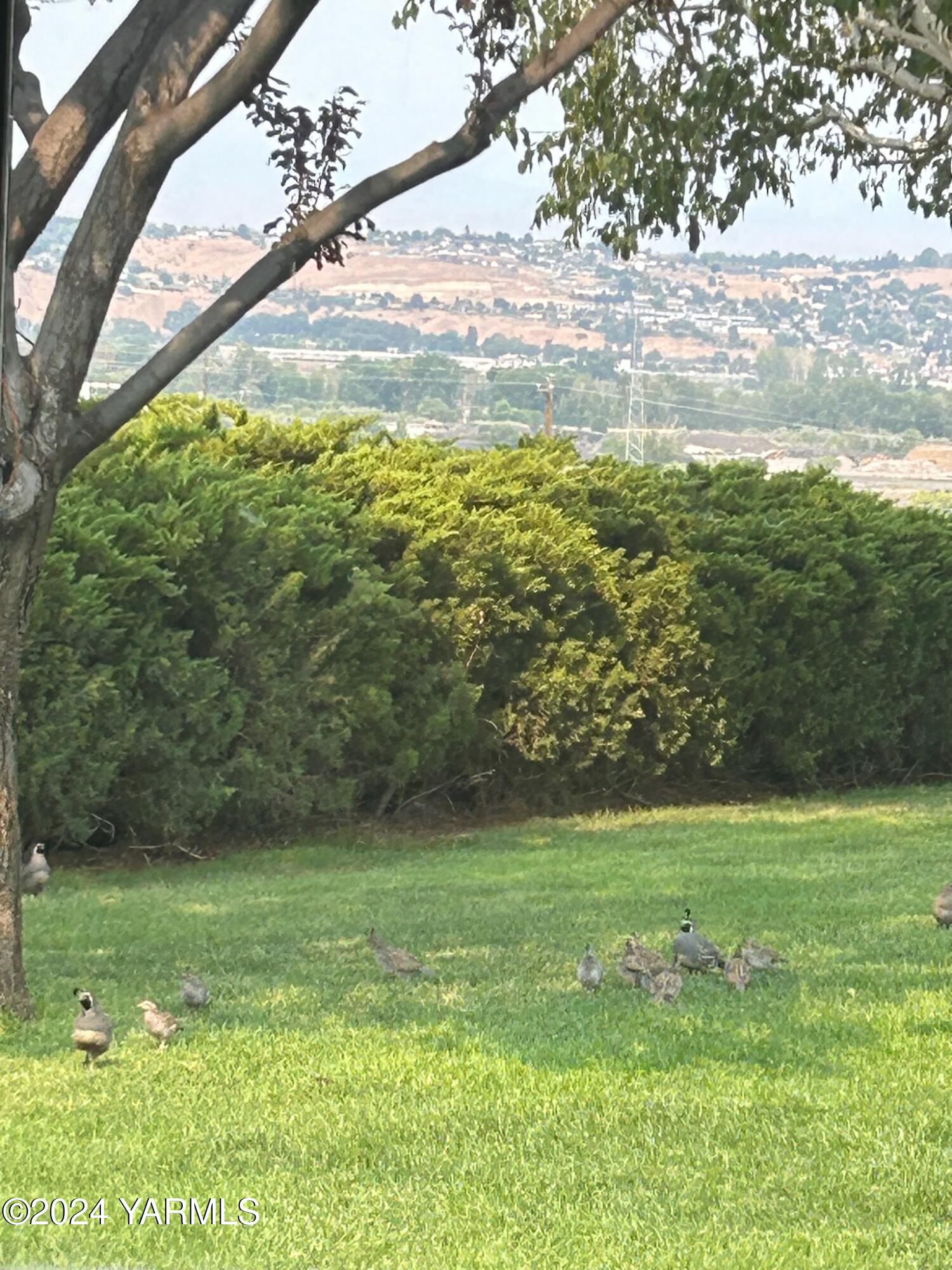 Yakima, Washington 98901, United States, 3 Bedrooms Bedrooms, ,2 BathroomsBathrooms,Residential,Pending,34353