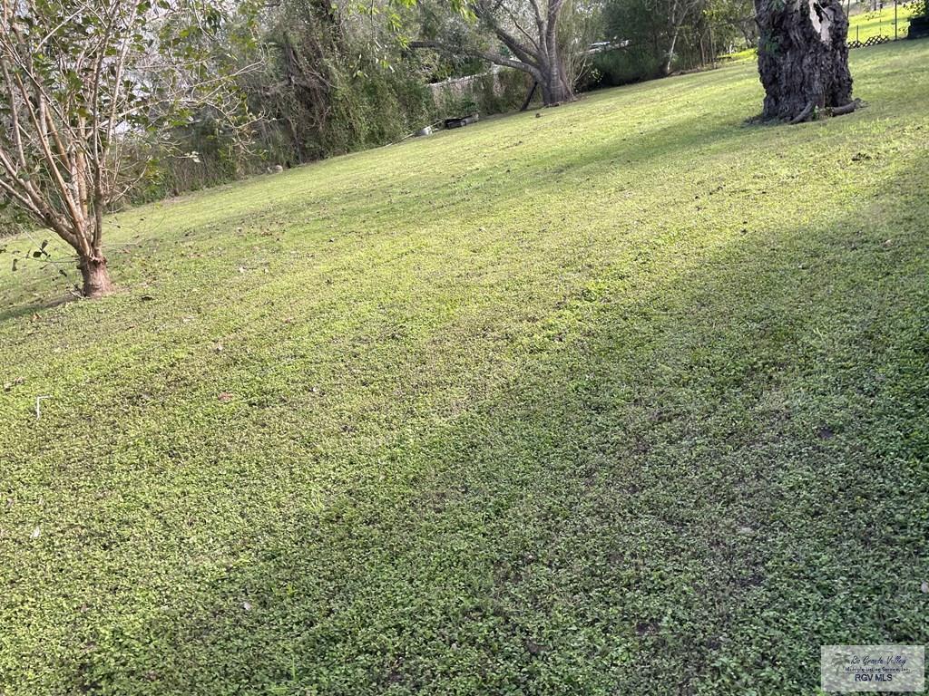 25539 E Brown Tract Rd, LOZANO, Texas image 5
