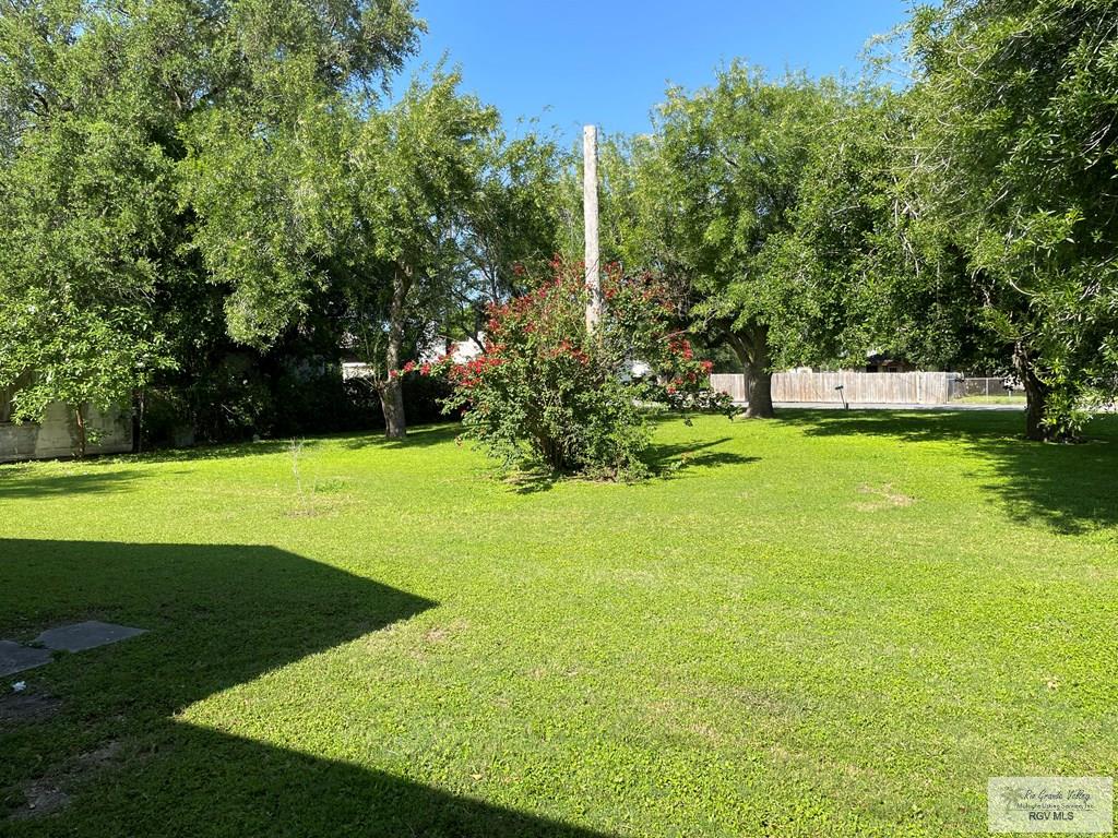 25539 E Brown Tract Rd, LOZANO, Texas image 26