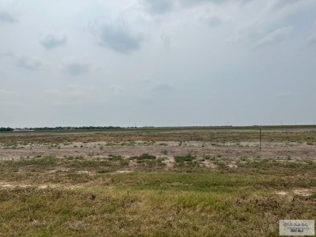 Lot 8 Briggs Coleman Rd, HARLINGEN, Texas image 3