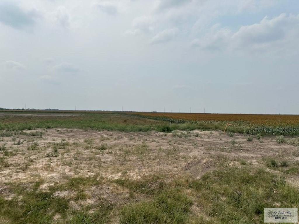 Lot 8 Briggs Coleman Rd, HARLINGEN, Texas image 2