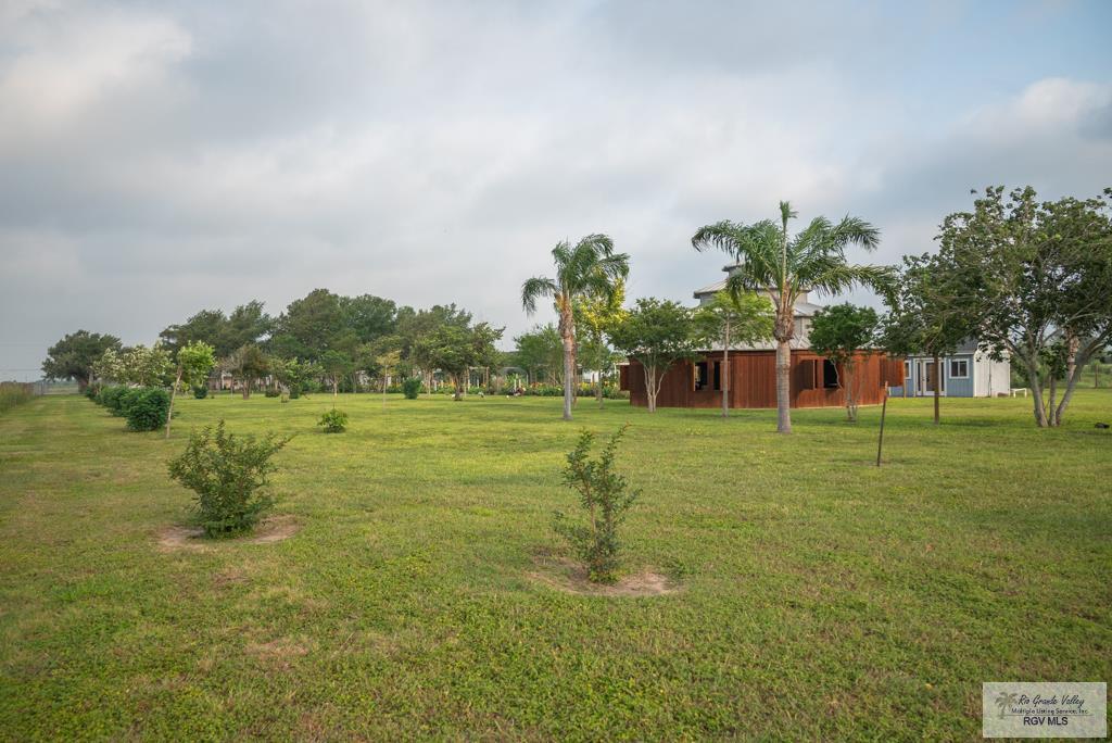 26343 Kansas City Rd #3, LA FERIA, Texas image 30