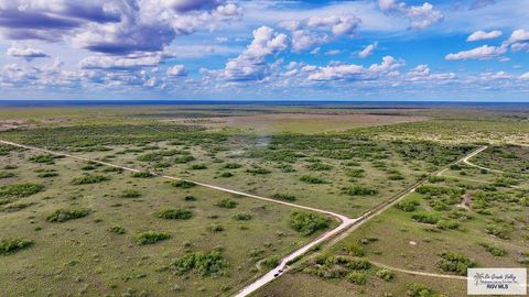 Vacant Land For Sale - 327.72 ACRES No Name<br/> Brooks County, ENCINO, TX 78353