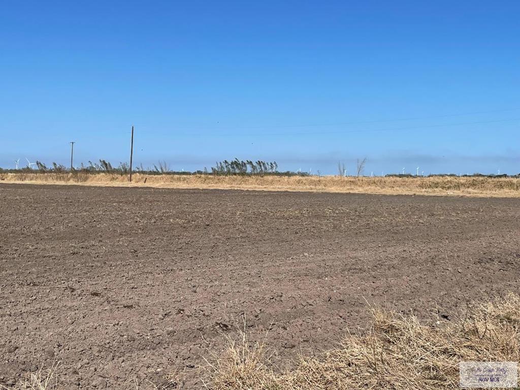 35.65 Acres Villafranco Rd, RIO HONDO, Texas image 3
