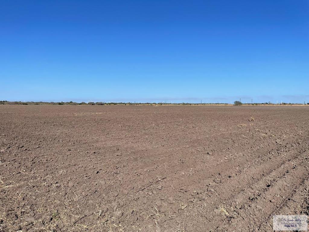 35.65 Acres Villafranco Rd, RIO HONDO, Texas image 6
