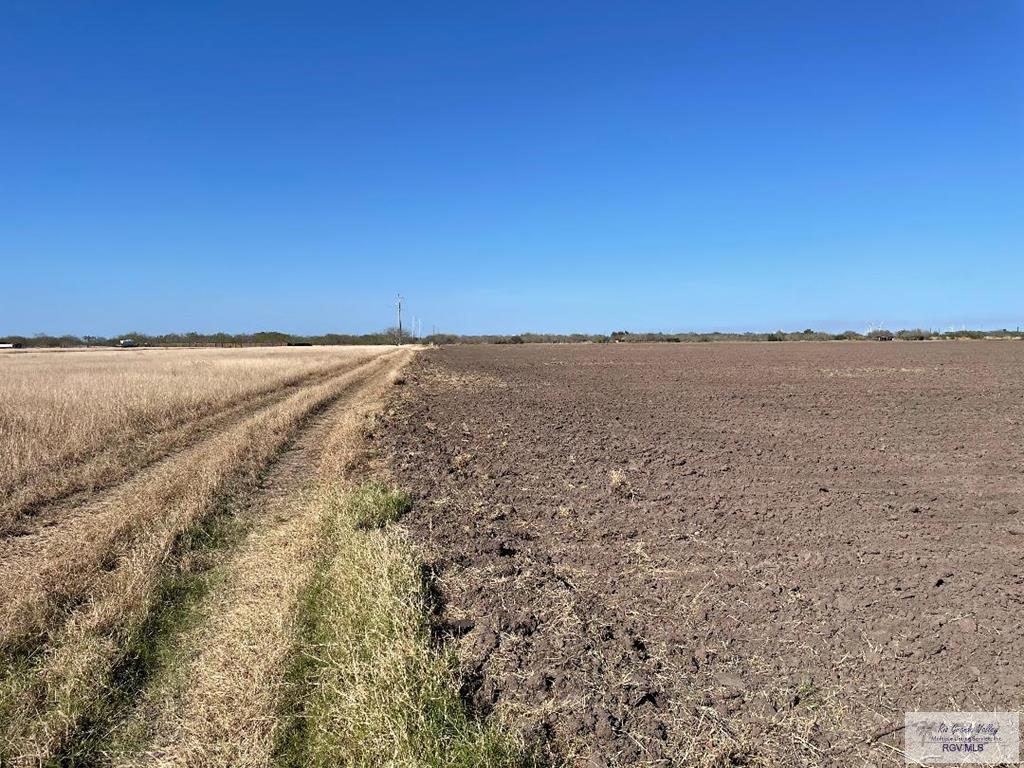 35.65 Acres Villafranco Rd, RIO HONDO, Texas image 7