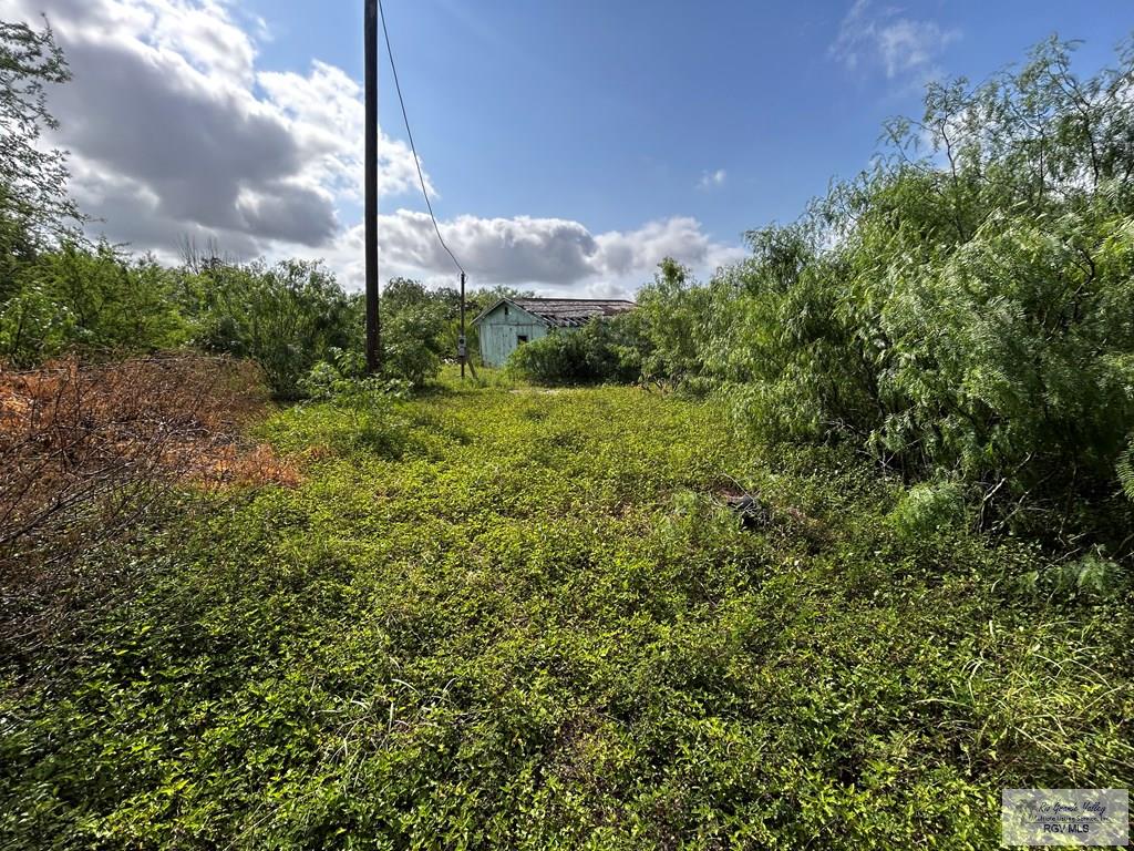 27853 Fm 803, SAN BENITO, Texas image 11