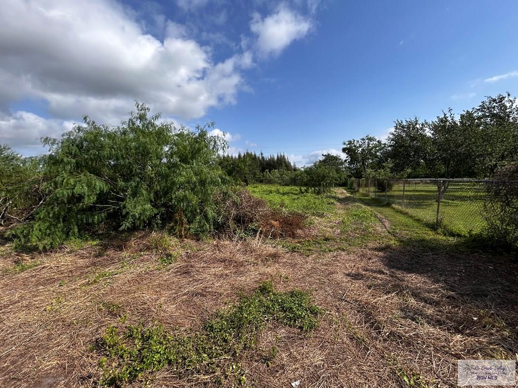 27853 Fm 803, SAN BENITO, Texas image 8