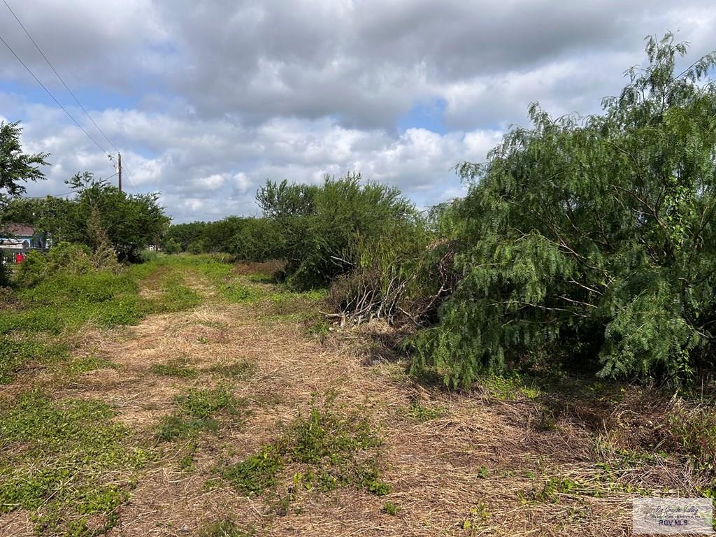 27853 Fm 803, SAN BENITO, Texas image 5