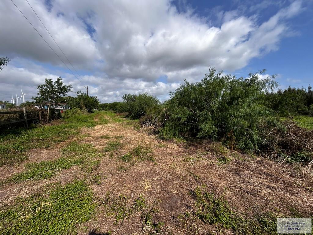 27853 Fm 803, SAN BENITO, Texas image 6