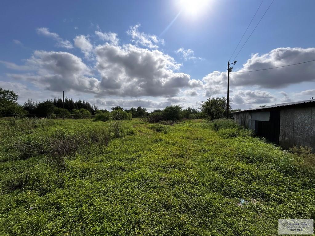 27853 Fm 803, SAN BENITO, Texas image 2