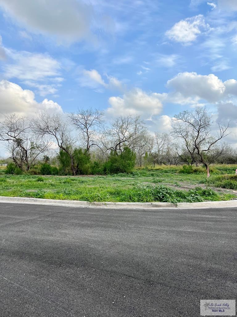 Lot 6 Blk 2 Genoveva Dr #LOT 6 BLK 2, BROWNSVILLE, Texas image 8