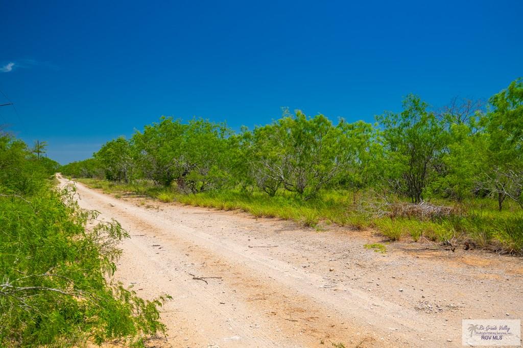 35700 S Fm 3250, LINN, Texas image 27