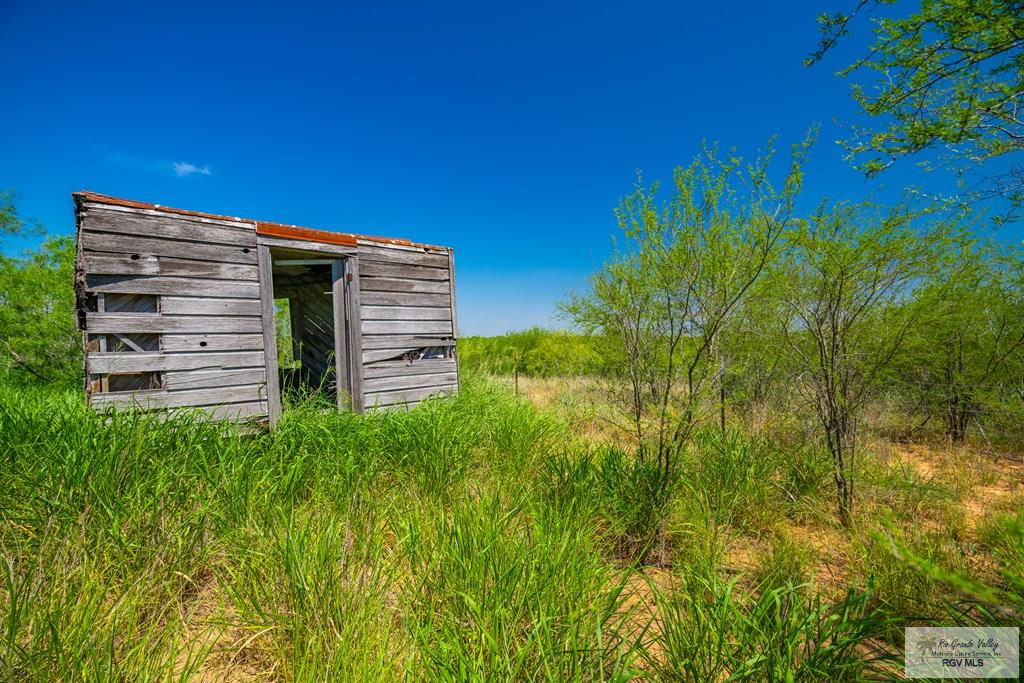 35700 S Fm 3250, LINN, Texas image 6