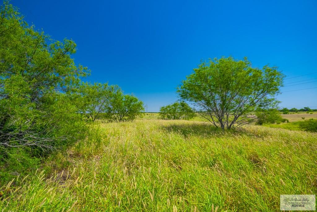 35700 S Fm 3250, LINN, Texas image 5