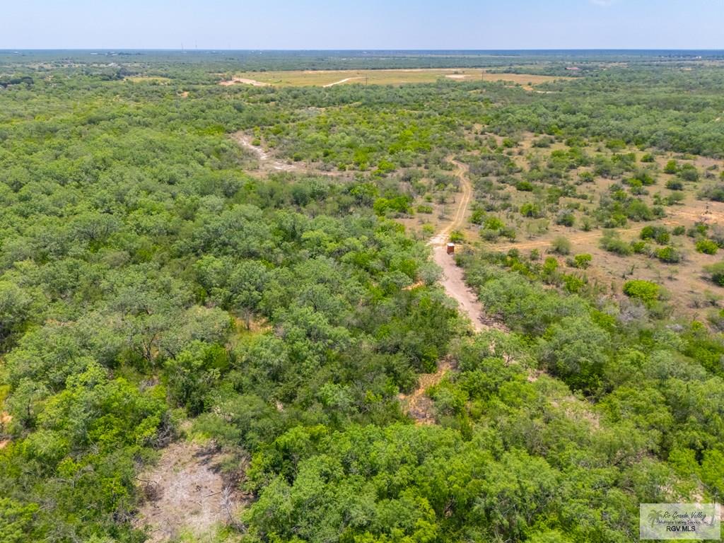 35700 S Fm 3250, LINN, Texas image 19