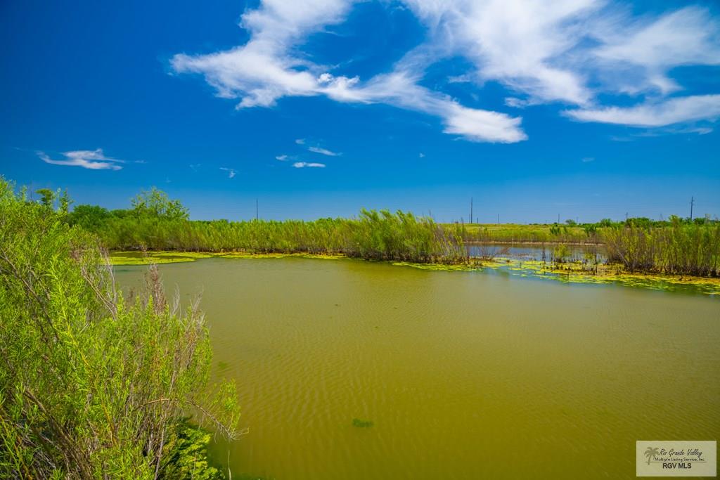 35700 S Fm 3250, LINN, Texas image 3